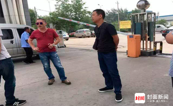 河南环保检查最新动态，小巷深处的绿色奇遇