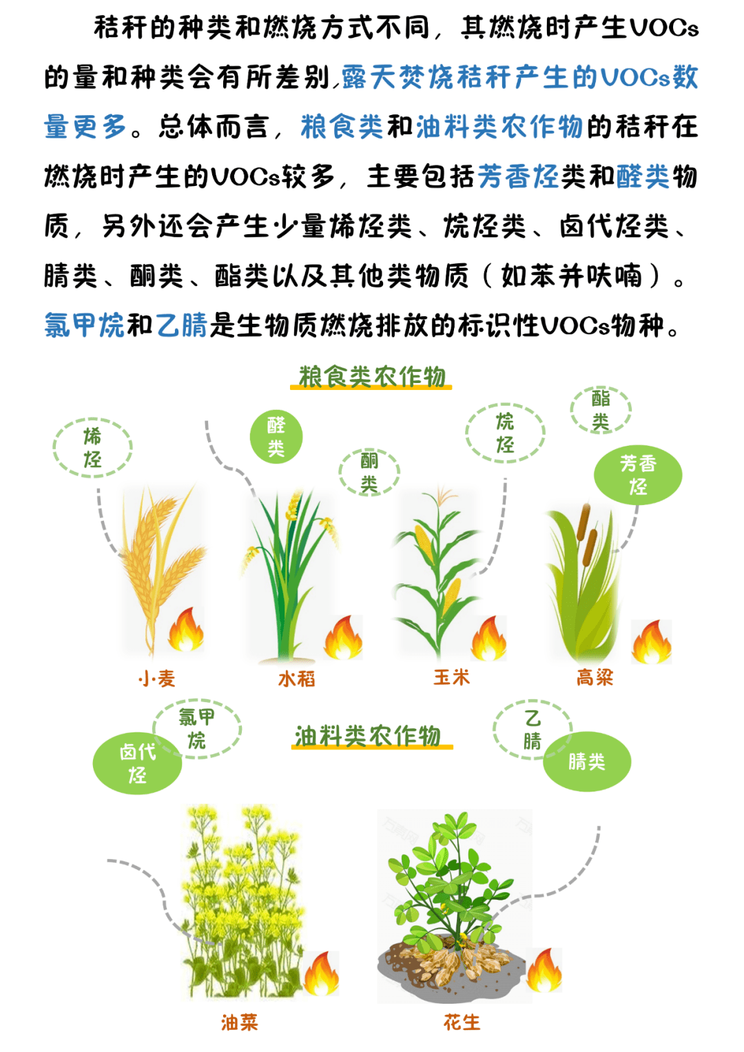 农尚环境最新动态，绿色日常里的欢笑与友情