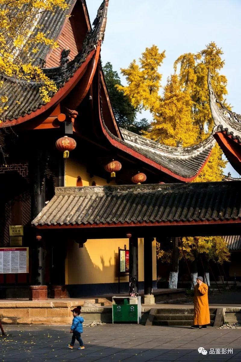 彭州新闻网最新消息,彭州新闻网最新消息，拥抱自然，探寻内心平静的旅程