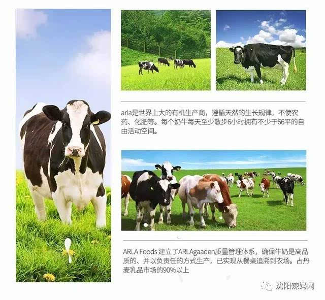 探索现代牧业新篇章，心火牧最新发展解析