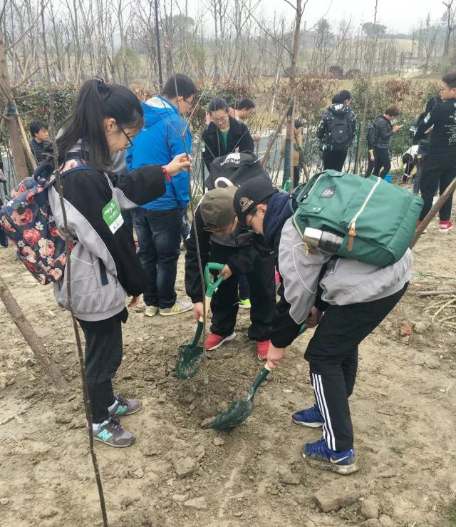 环保最新动态,环保最新动态，绿色小子的奇遇记