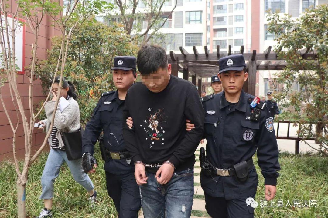 最新颍上论坛动态更新速递