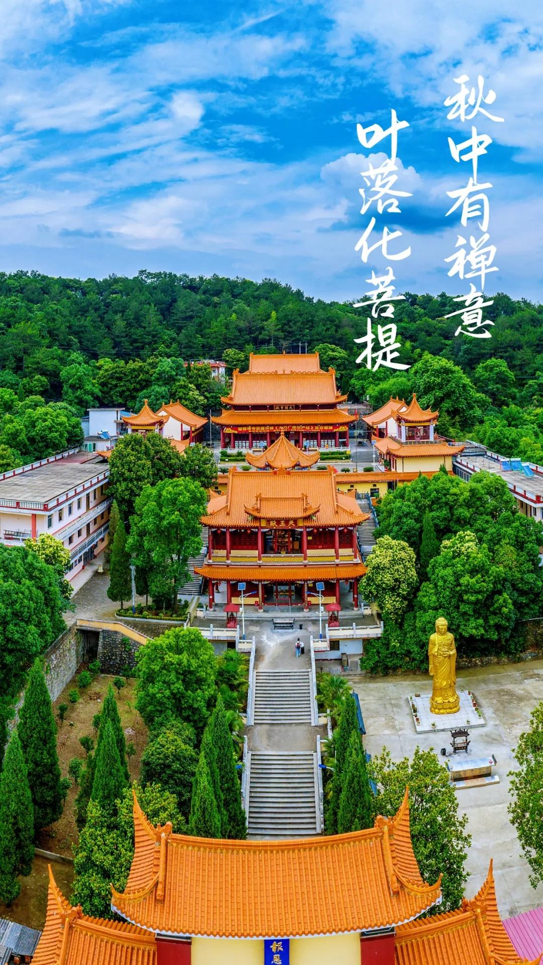 新洲最新招聘启航，探索自然美景之旅之旅