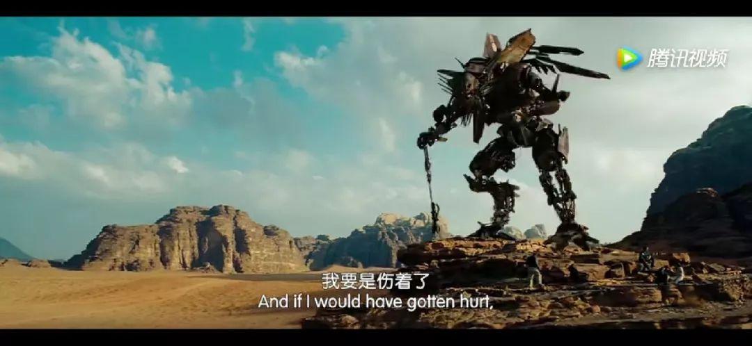 戴尔最新版，小巷中的科技宝藏，探索未知魅力