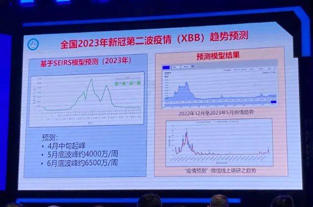 2024年12月新冠高峰期,方案优化实施_商务版95.140