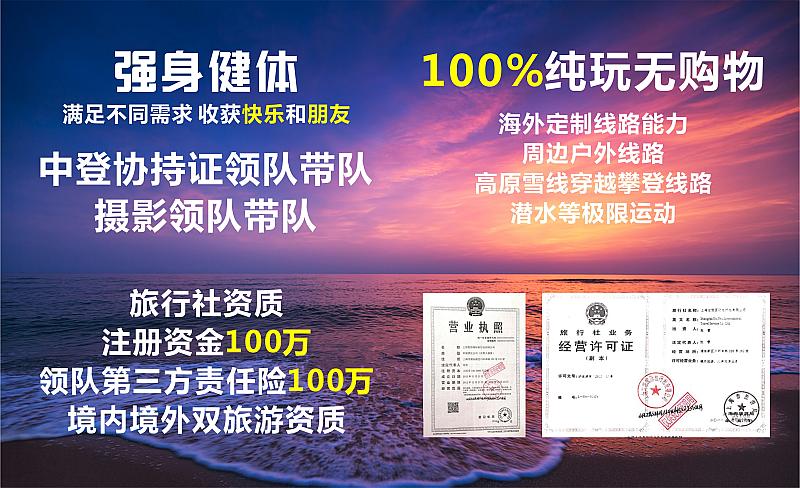 晋城最新招聘信息今日更新，小巷特色小店背后的职业机会大揭秘！