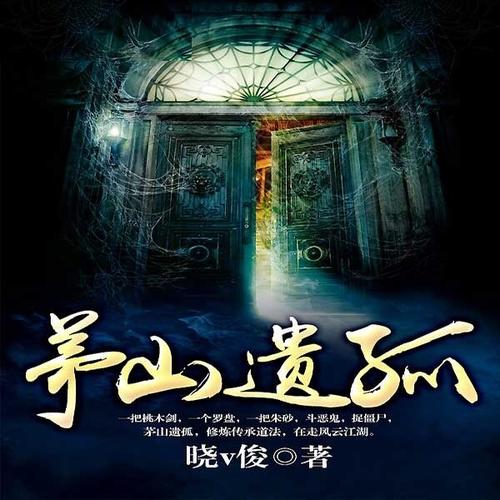茅山遗孤，神秘古卷与温馨日常的最新章节探索
