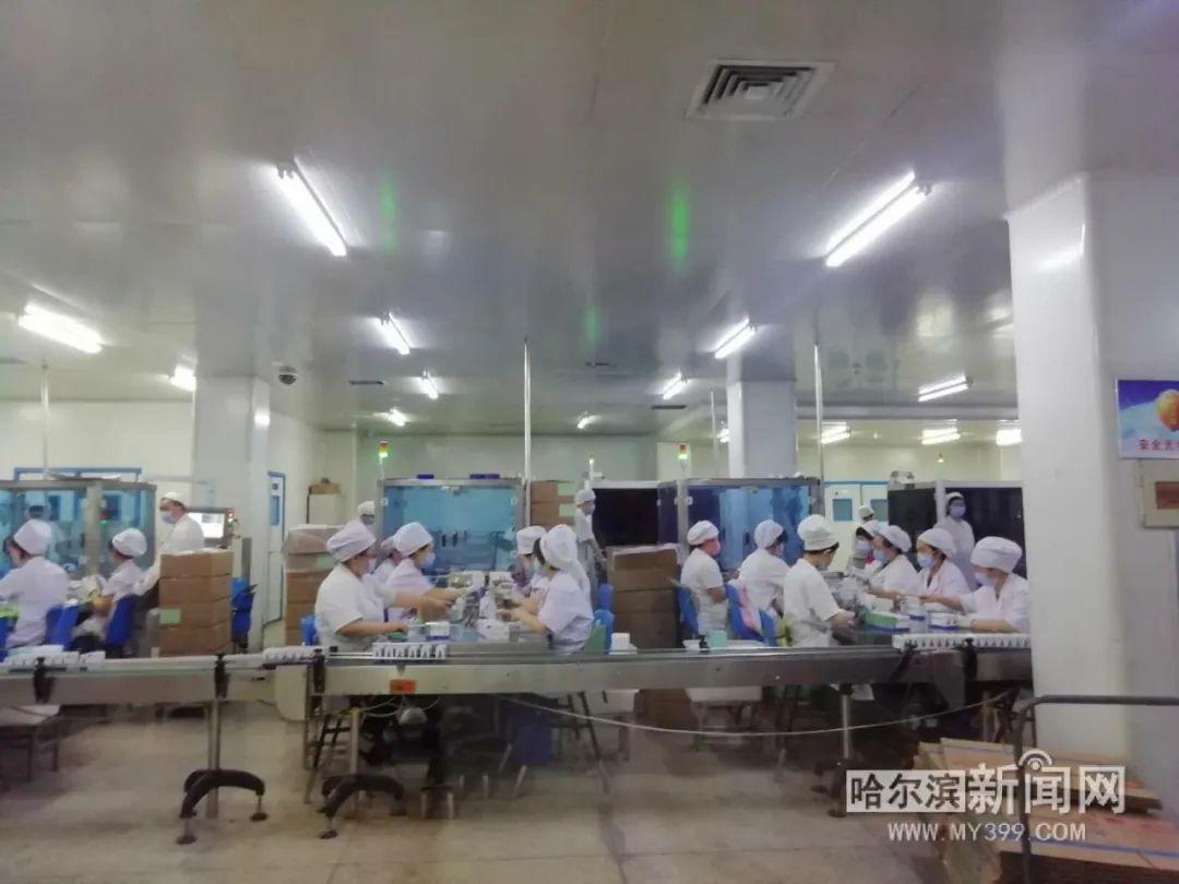 山东禽流感最新动态，挑战中的应变与成长之路