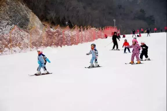 航班最新动态，飞翔旅程中的自信与成就感交织