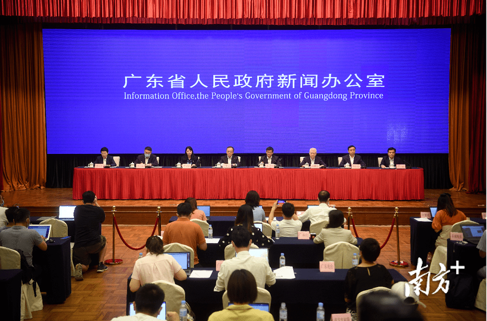 最新翻译探讨，实践与理解的交汇点