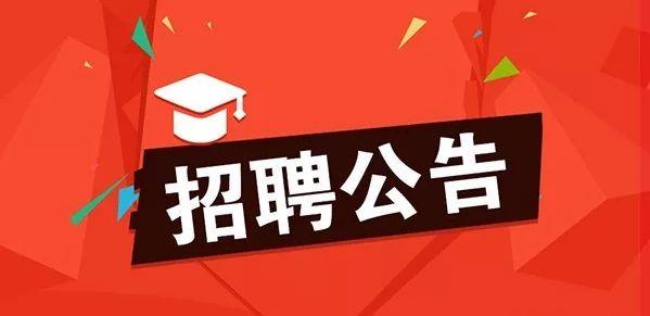 珠海招聘网最新招聘，职场奇妙缘分与温馨工作故事启航