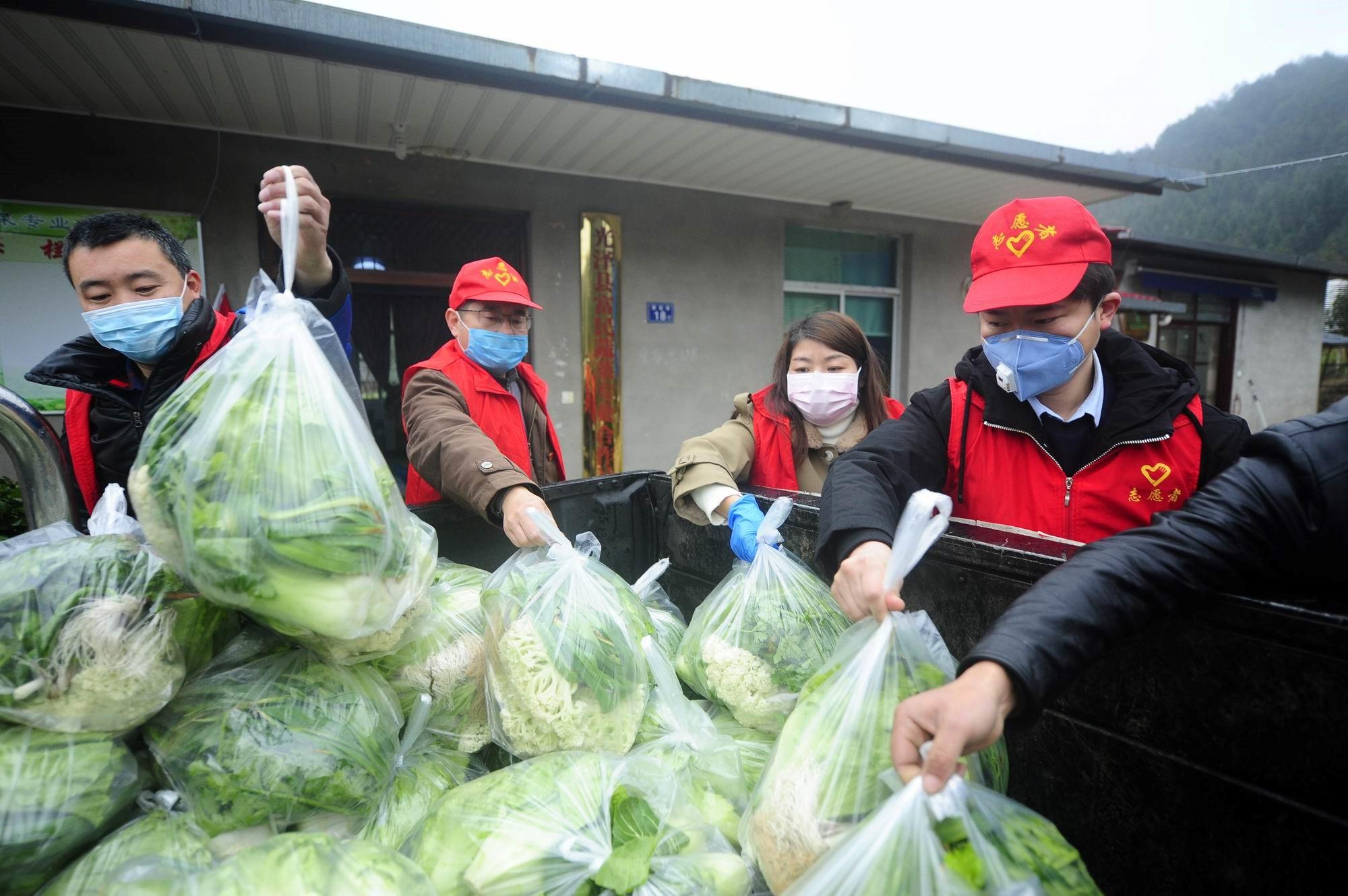 福建最新疫情动态与小巷美食探索之旅