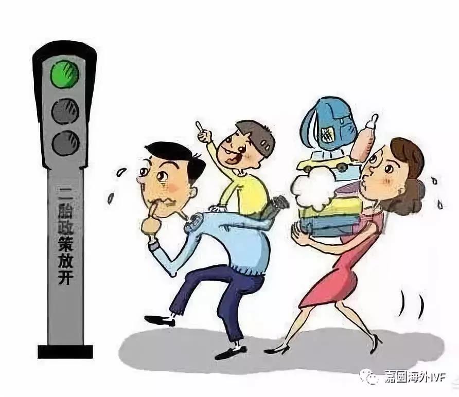 税务最新政策下的日常趣事与温馨体验