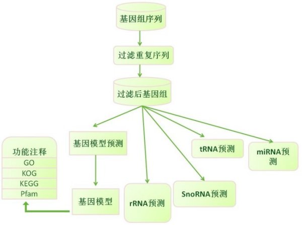 最新禽流感消息,最新禽流感消息概述