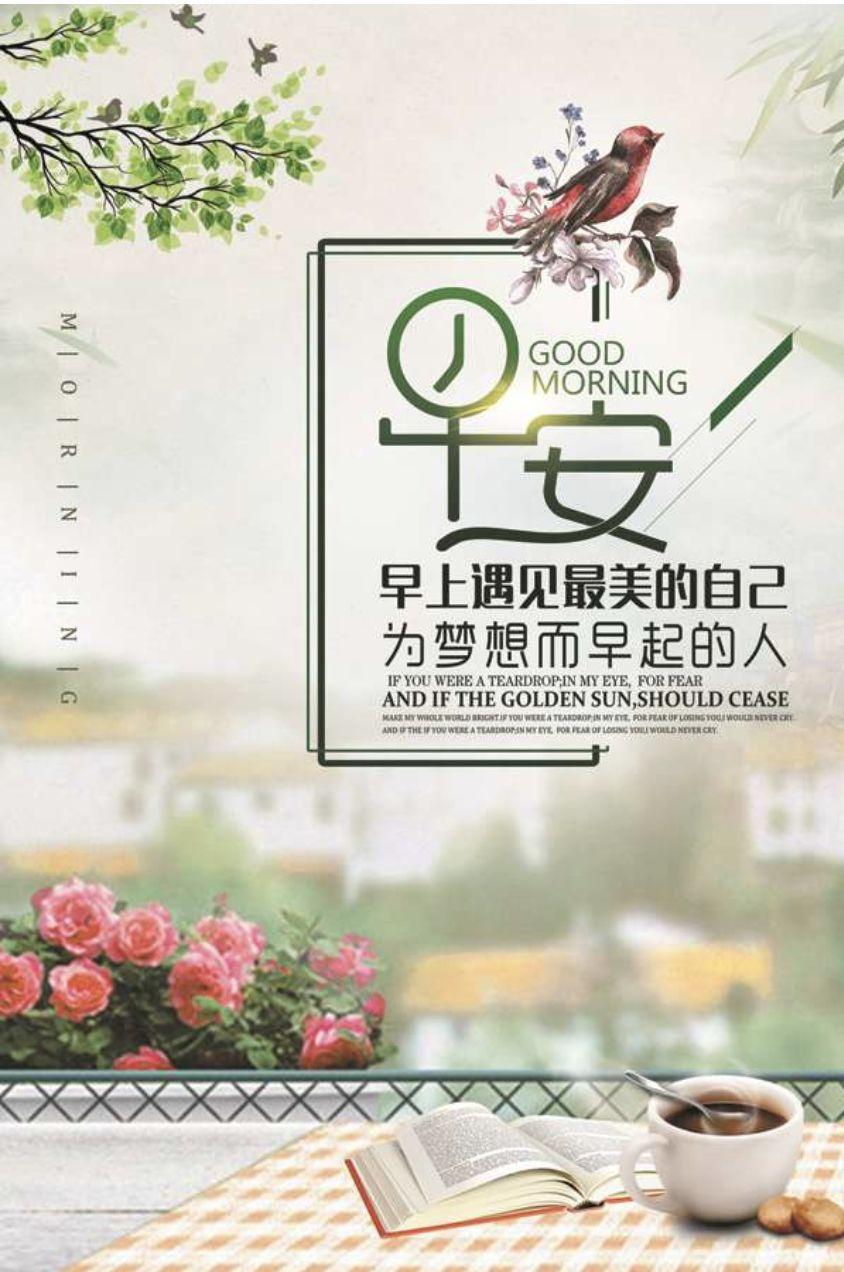 最新装修风格下的温馨家园，家的故事与友情的绽放时光
