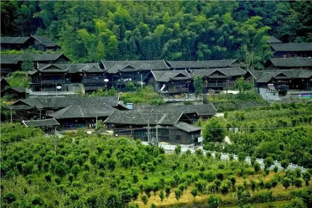 探秘九沟寨小巷中的独特风味美食新发现