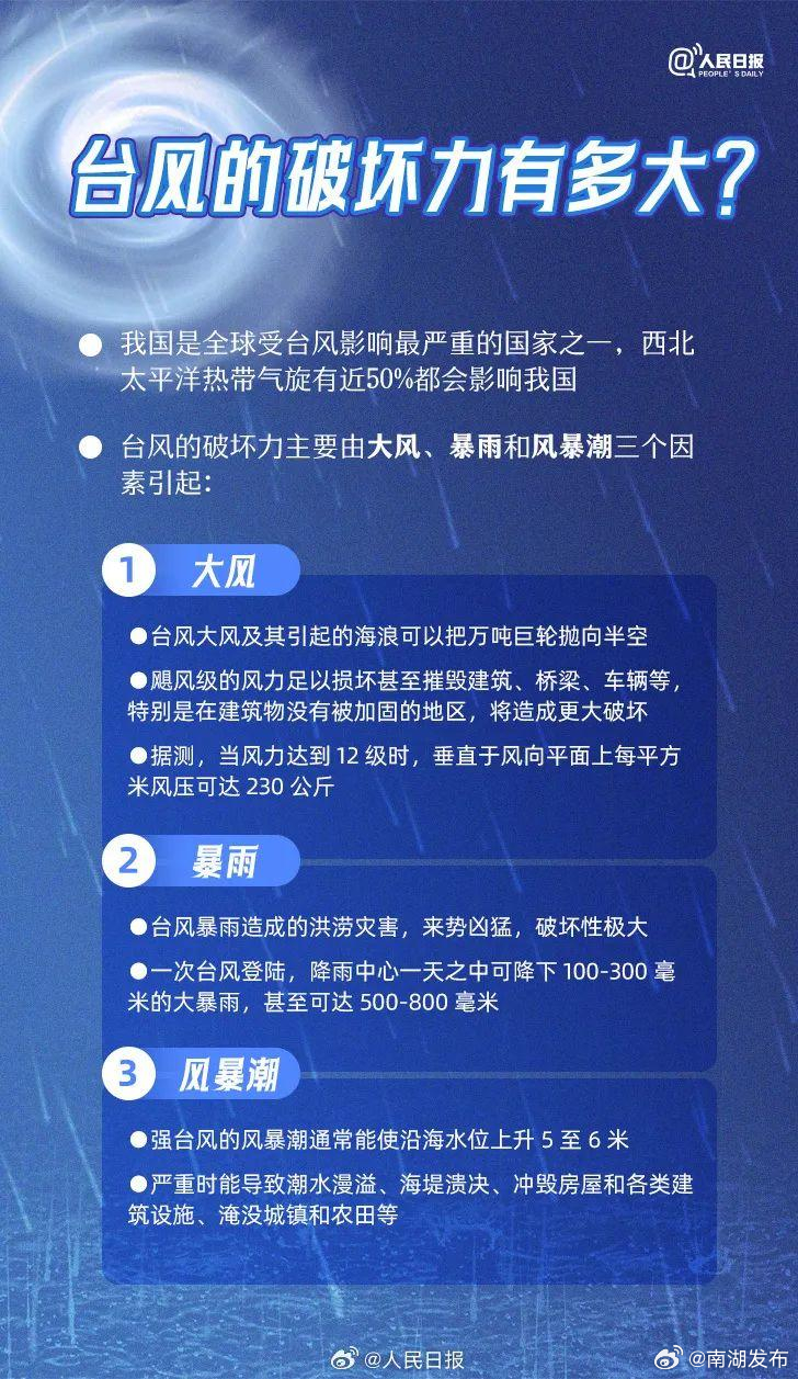 最新台风八月来袭，逆风翻盘的励志故事揭示学习力量与勇气精神