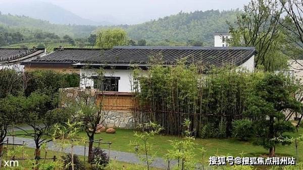 最新做法详解，步骤、观点与多方分析指南