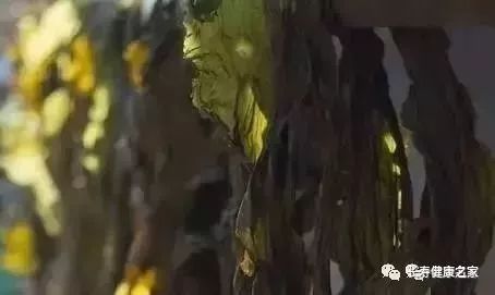 长寿最新病毒揭秘，小巷深处的神秘宝藏探寻