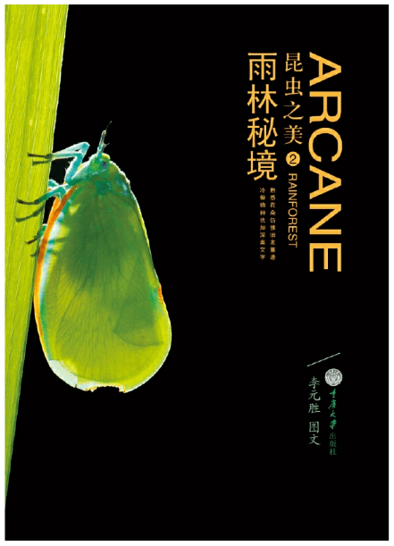 虫子最新新闻，与自然亲密旅行，探寻内心的宁静与平和