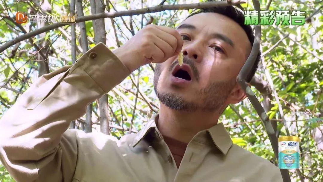 奇美多最新系列引领时尚潮流新风尚