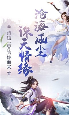 猫仙尊最新动态，猫步轻扬，温馨日常的精彩呈现