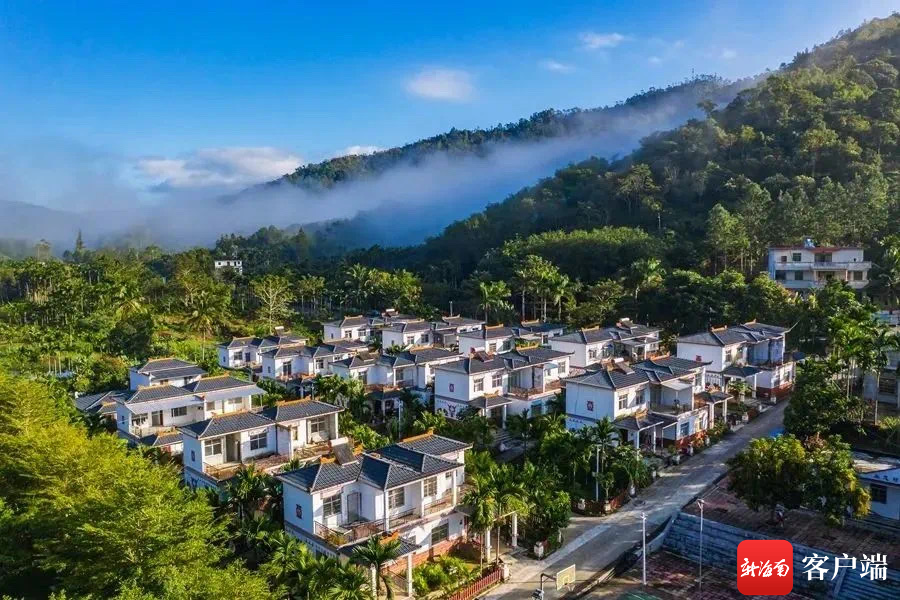 樟海镇旅游指南，最新攻略与实用指南