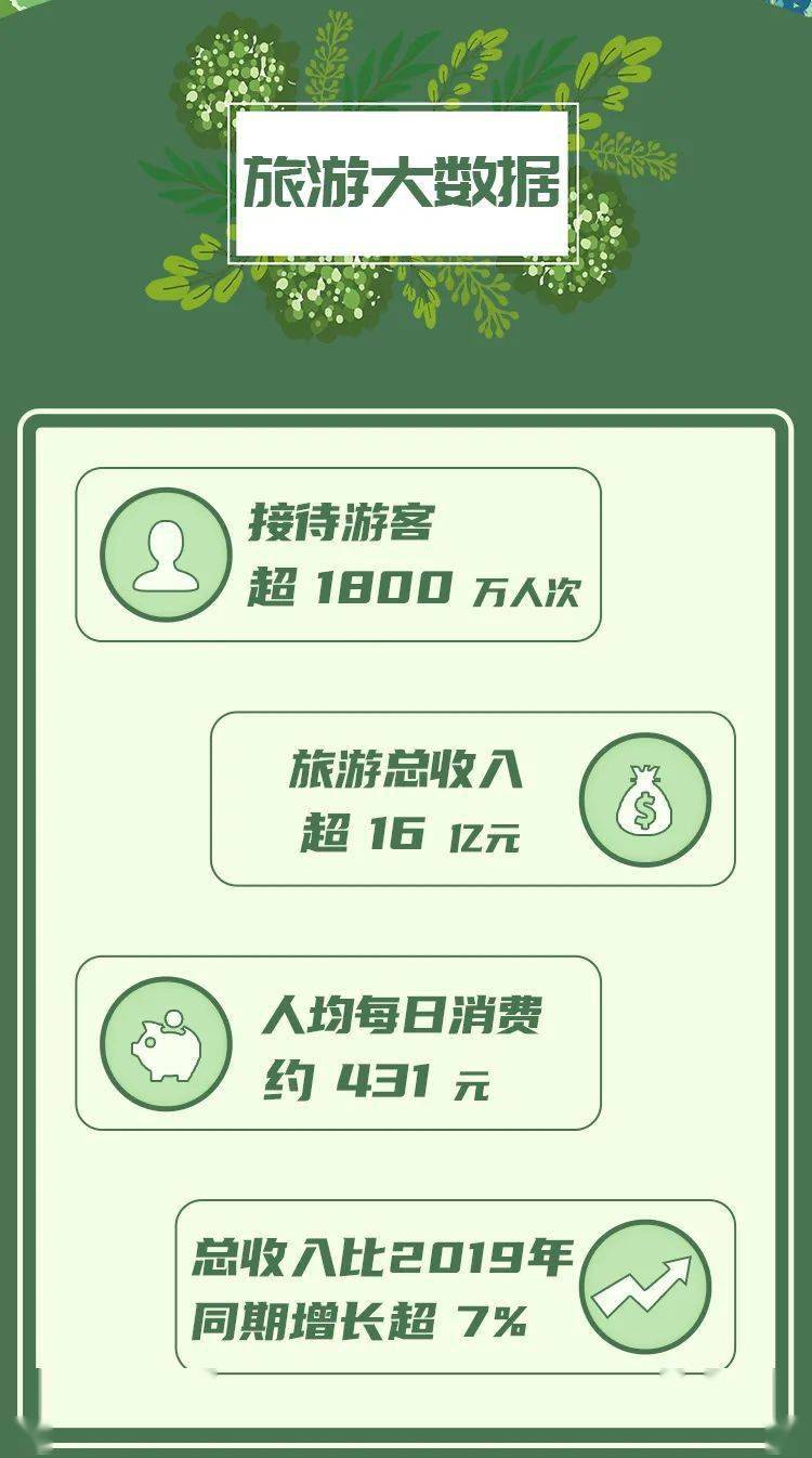 毛薯最新行情概览与深度分析