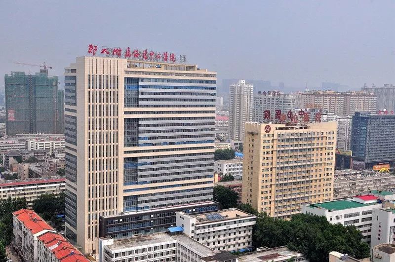 洛阳新冠疫情最新动态，科技引领健康生活新时代先锋