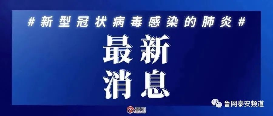 泰安最新病毒深度论述，探究未知威胁与应对策略