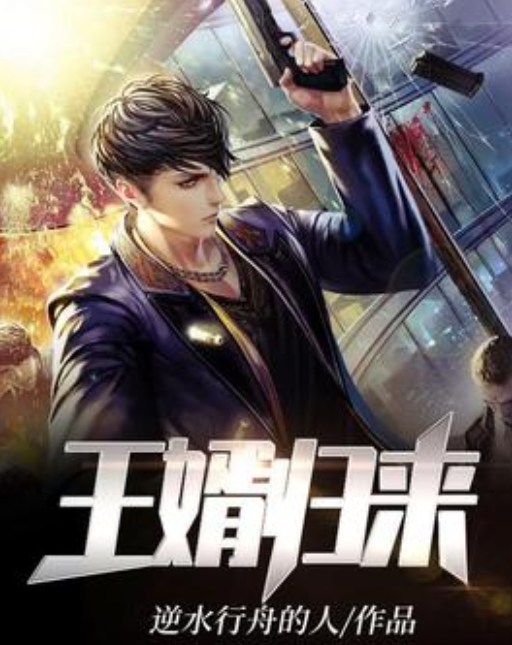 王婿新篇章，探寻未来之路，启示录开启