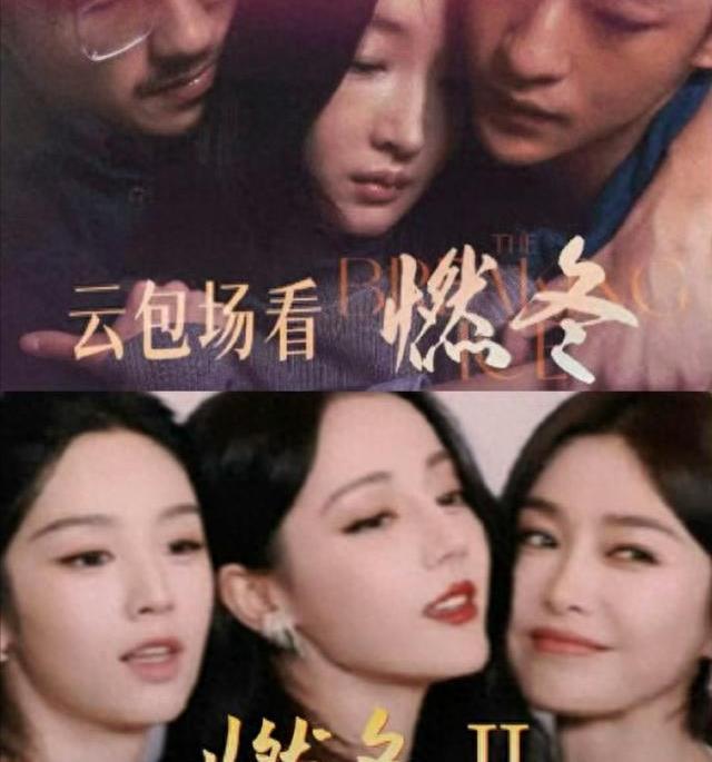 迪丽热巴最新动态揭秘，多重角度下的全面审视与深度解读