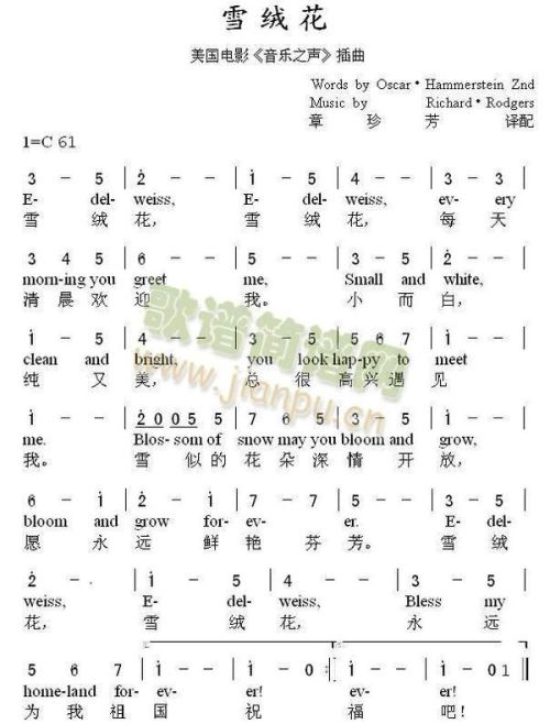 演员电子琴简谱，音乐与演技的绝妙融合