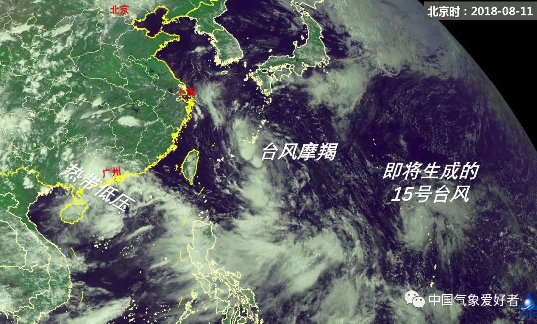 台风摩羯最新消息，实时动态更新与应对策略