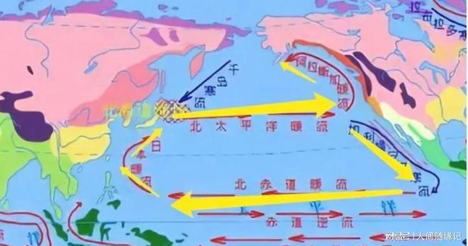 影响与观点分析