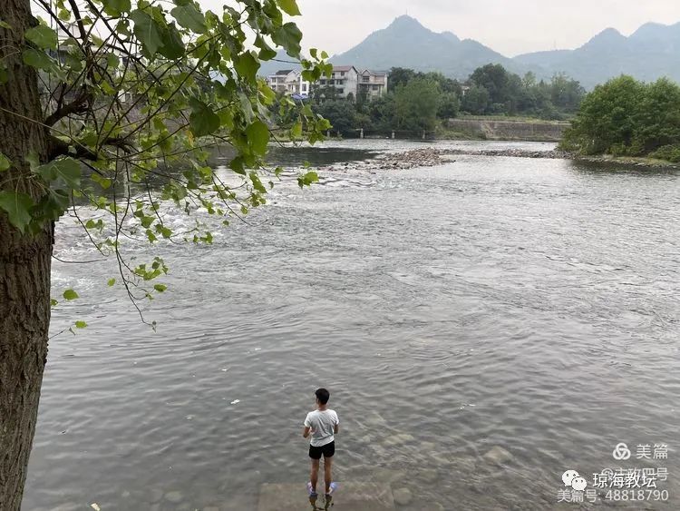 河南暴雨最新信息及背后美景探索，内心平静的寻找之旅